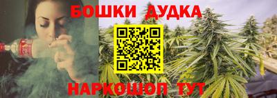 шишки Усть-Джегута