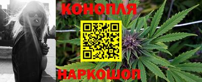 прущие крисы Усть-Илимск