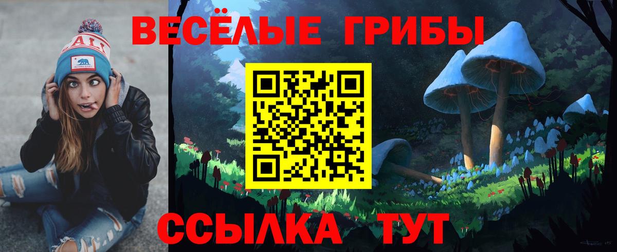 Псилоцибиновые грибы прущие грибы  Вход с VPN  Медногорск 